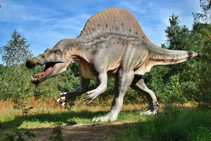 Dinosauři