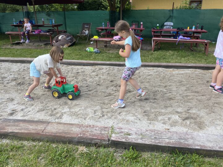 IMG 2581