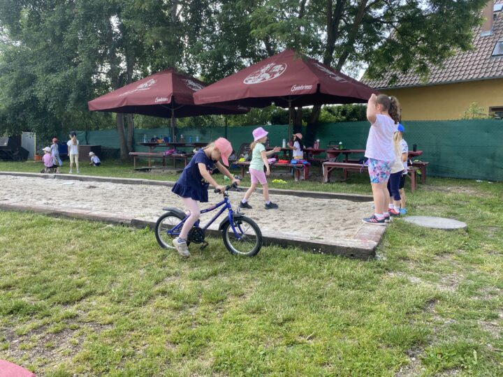 IMG 2583