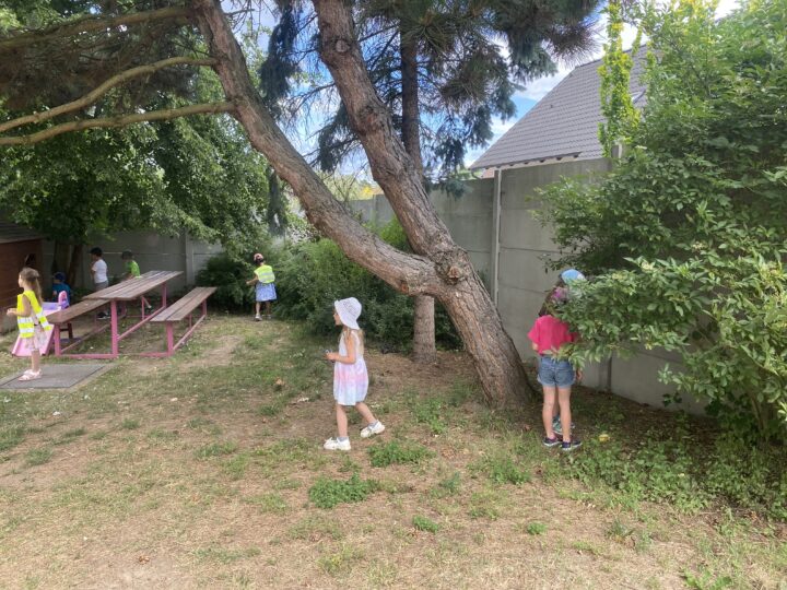 IMG 2730