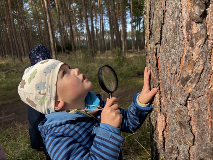 Hledáme krásu všude kolem – pavouci. Ferdové