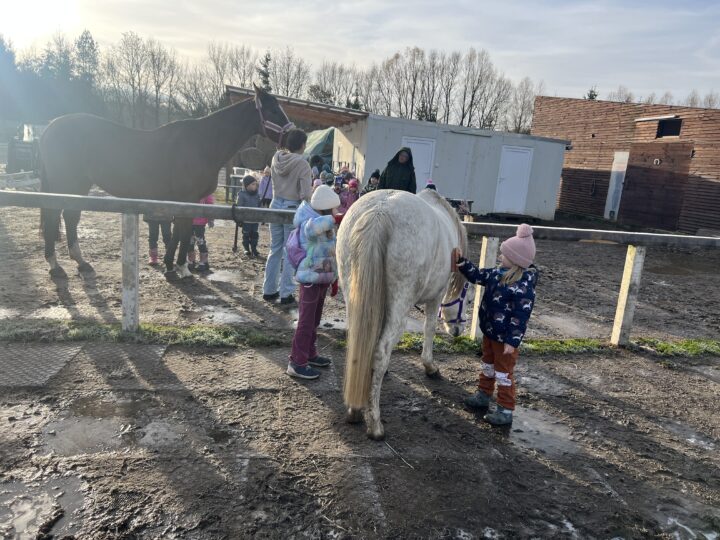 Výlet – koně Broučci
