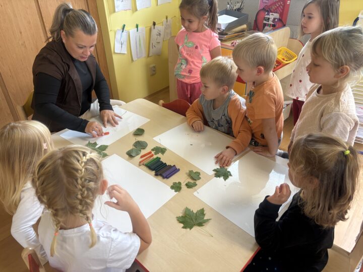 IMG 4533