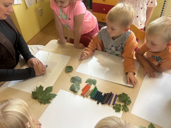 IMG 4535