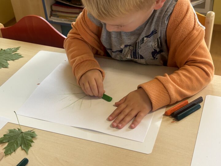IMG 4536