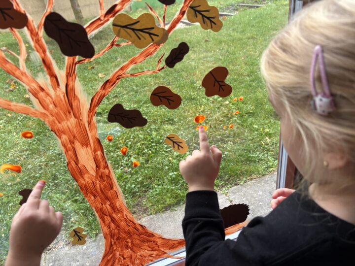 O zvířátkách a přípravě na zimu. Ferdové