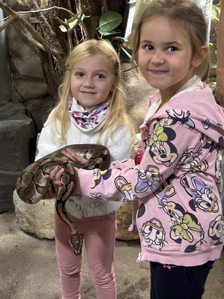 Výlet za cizokrajnými zvířaty. Ferdové