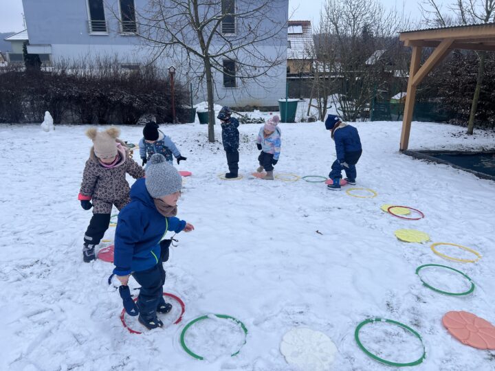 Olympiáda na sněhu Ferdové