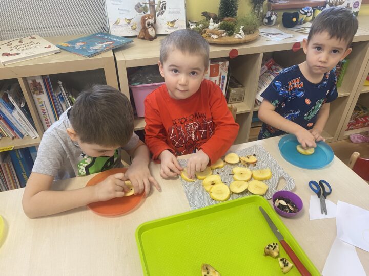 Krmení pro ptáčky Ferdové