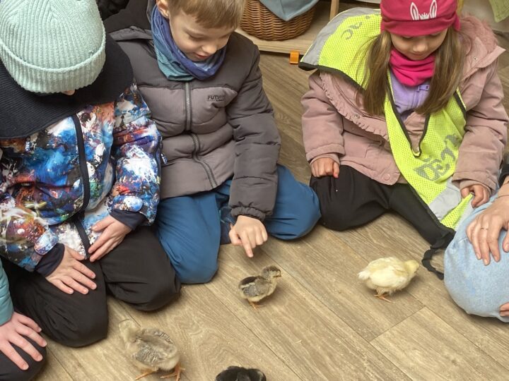 Návštěva Jedlé zahrady Broučci