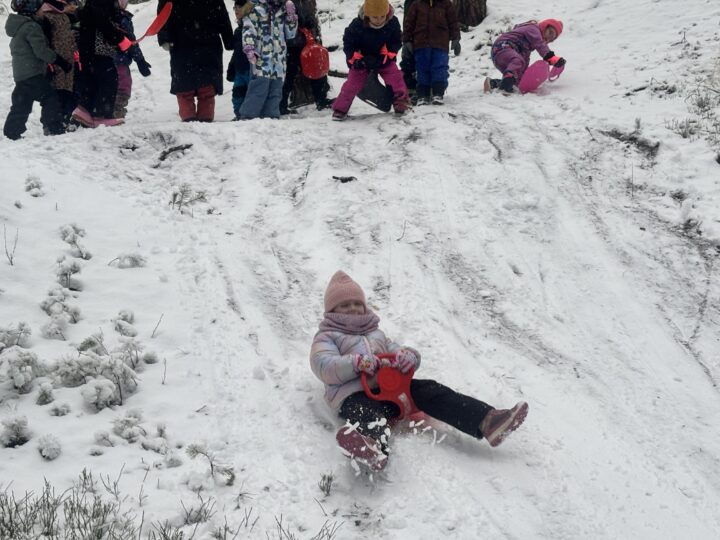 Další radost ze sněhu Ferdové
