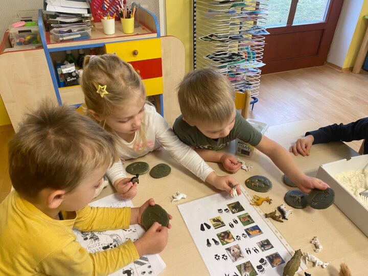 Co se děje v zimním lese? Ferdové